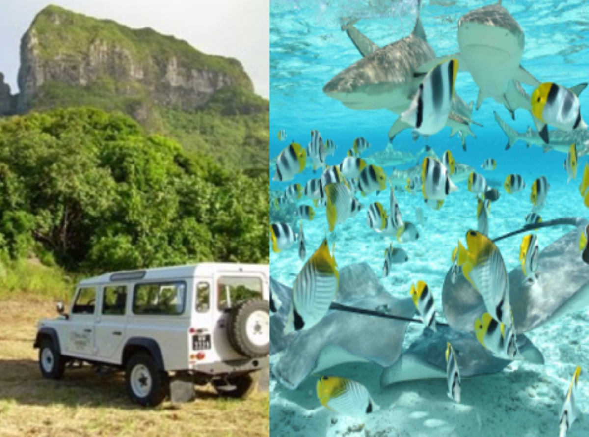 Combo 4WD Safari / Sharks & Rays Safari in Bora Bora