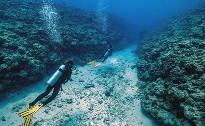 Scuba Diving in Moorea