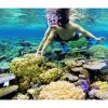 Ecotour pure snorkeling dans le lagon de Bora Bora