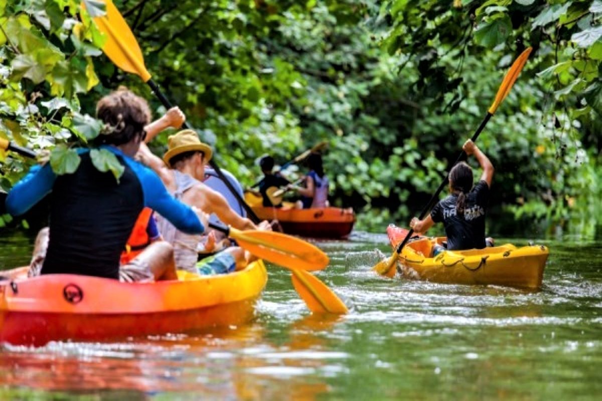 Kayak ride on the river in Raiatea