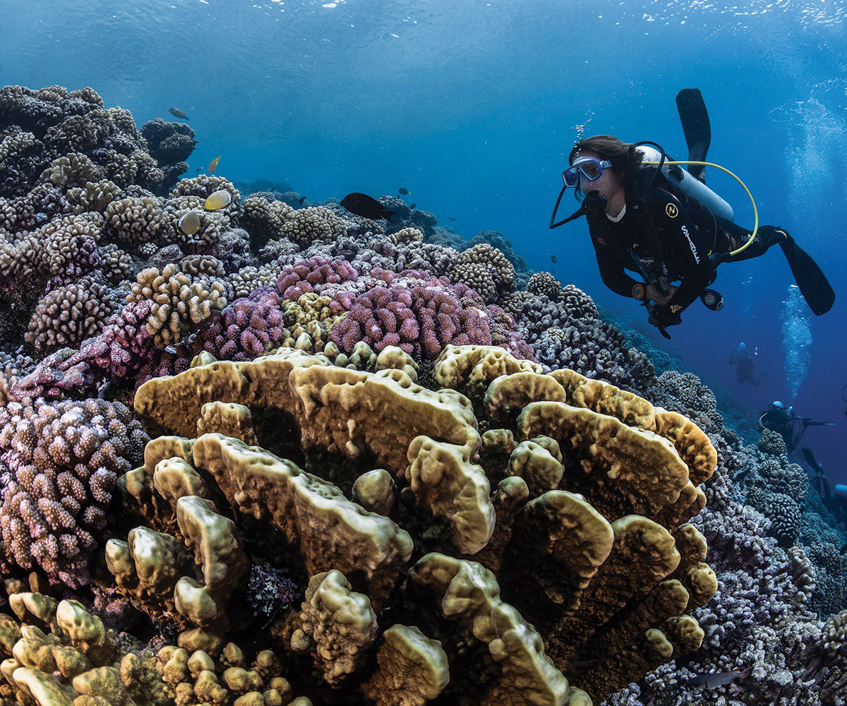 Scuba Diving in Tahiti