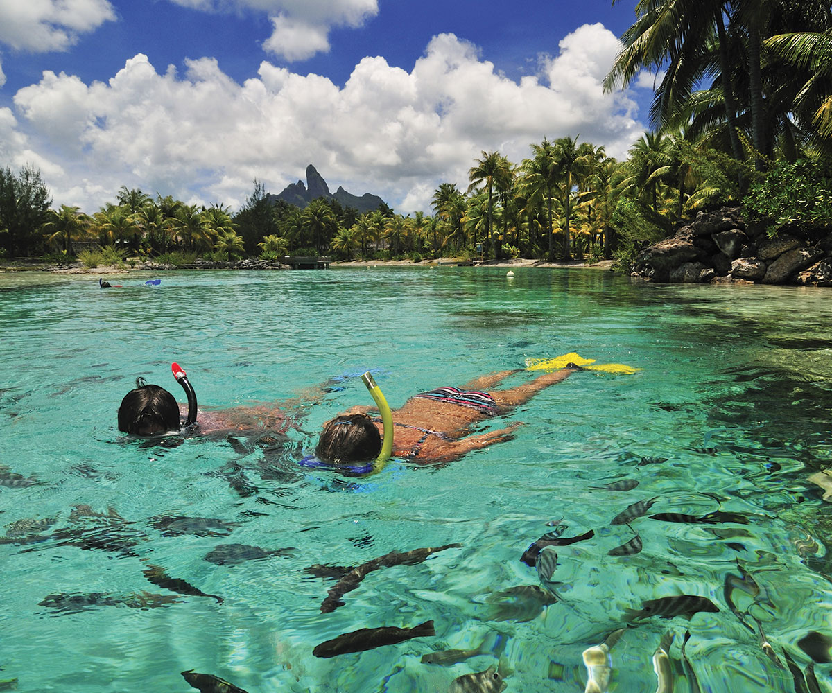Pure Snorkeling Ecotour in the Bora Bora lagoon