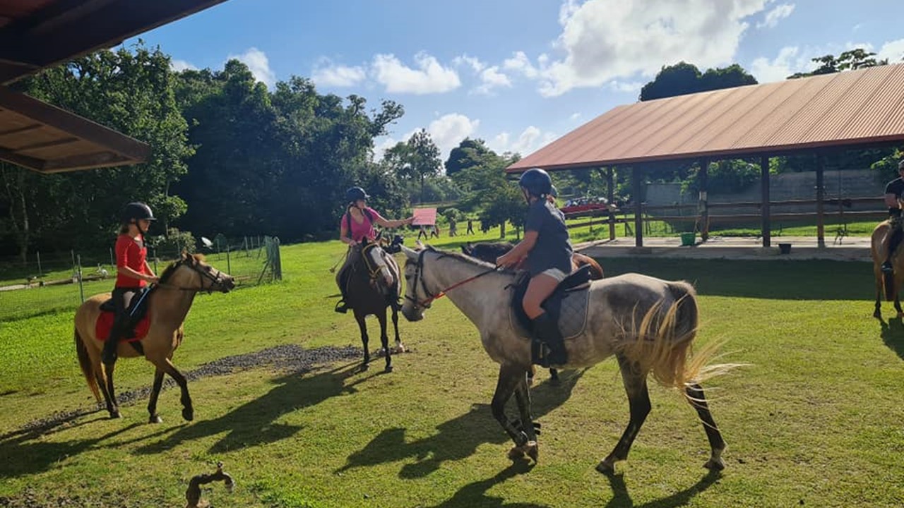 Horse riding in Raiatea