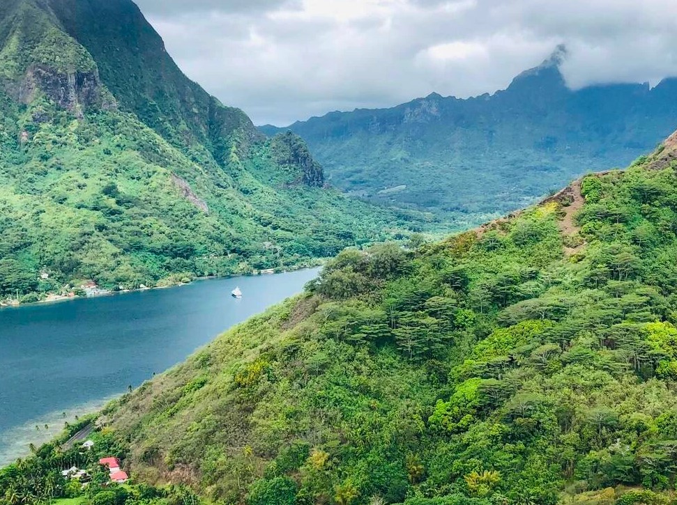 Full day exploration of Moorea Island by 4x4 (lunch included)